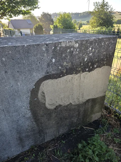Stark belegte Außenmauer mit einer bereits gereinigten Probefläche